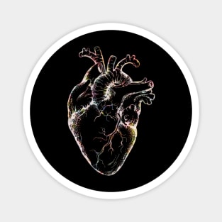 Anatomical Heart 3 Magnet